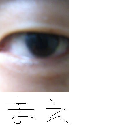 vlippan149451