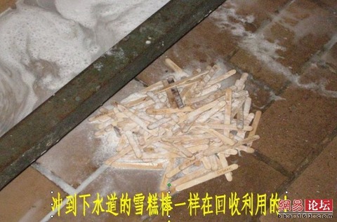 5567984320100823190243019_640