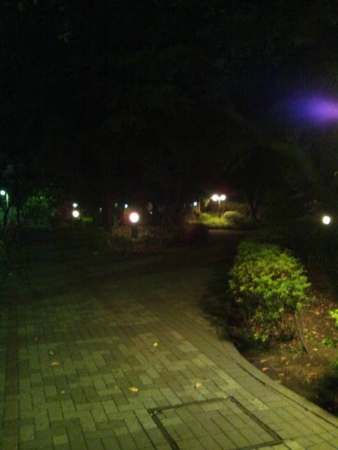 GP11110500-110_1