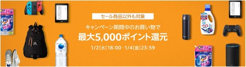 最大5000ポイント