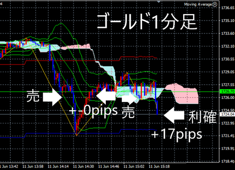 FX6月11日