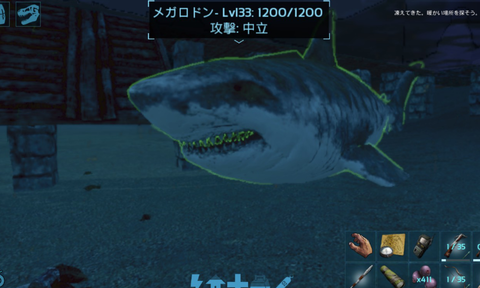 メガロドン8