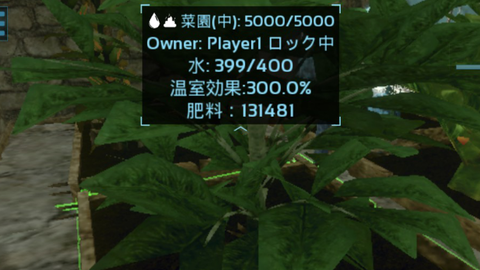 北西大きな家６