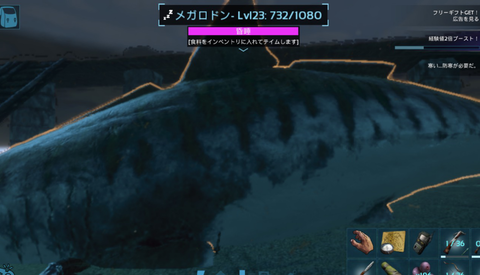 メガロドン7