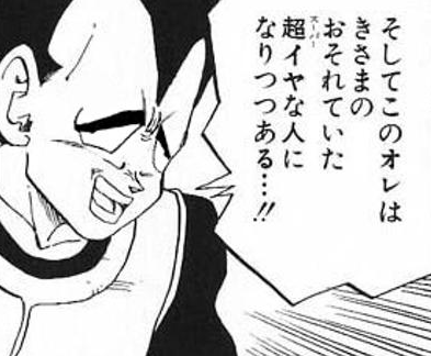 花朔ベジータ②