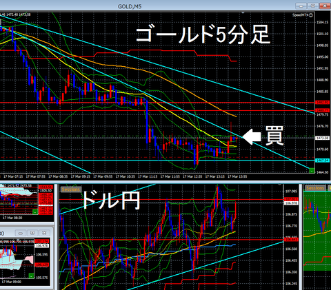 3月17日①