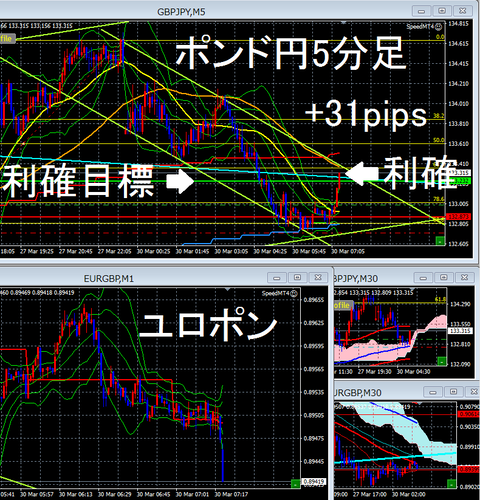 3月30日②