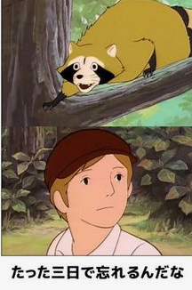 悲しいとき