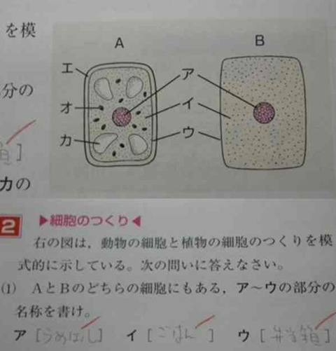 テスト6