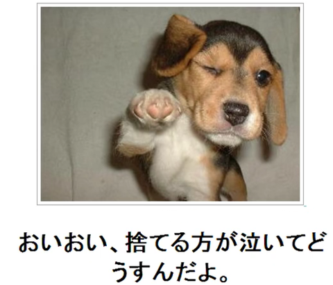 捨てる方が・・・・