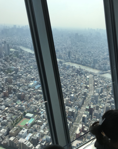 スカイツリー上から