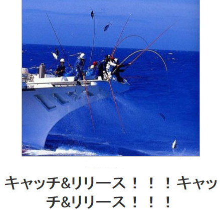 釣り