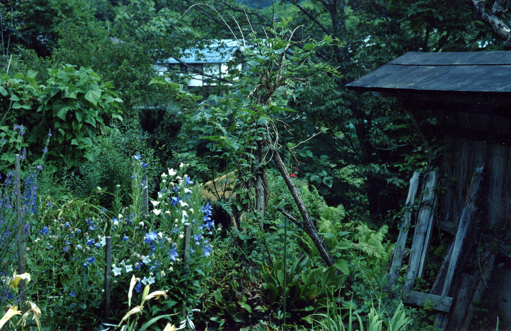 半額クーポン配布中！ da.gasita - studier.co.il