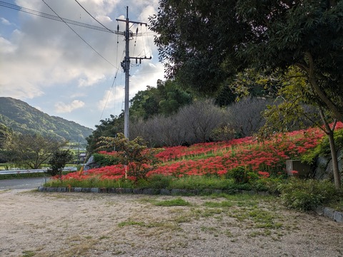 PXL_20230927_075901992