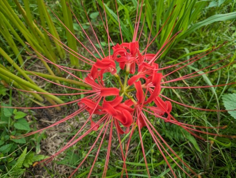 PXL_20230927_011714327