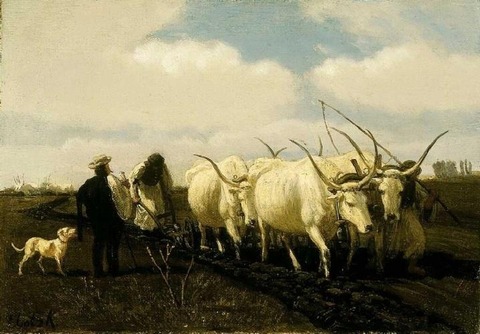 春の鋤き起こし