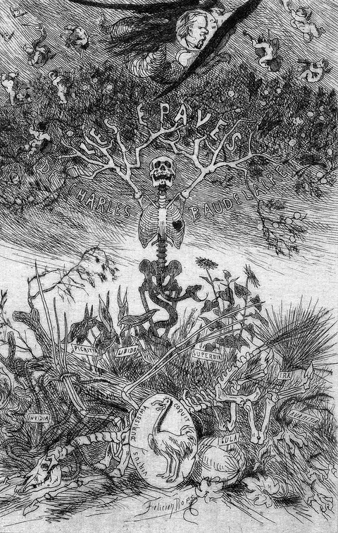 1866 ボードレール 漂着物の口絵