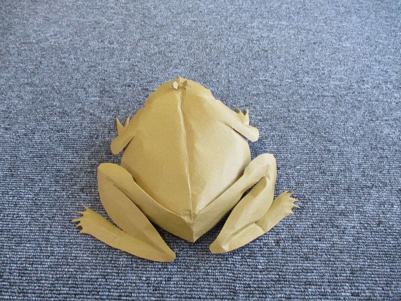 Gallerykirittaiのblog Kirittai ゴライアスカエル