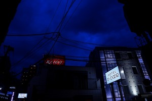 28447532_s