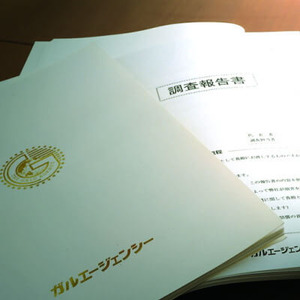 houkokusyo