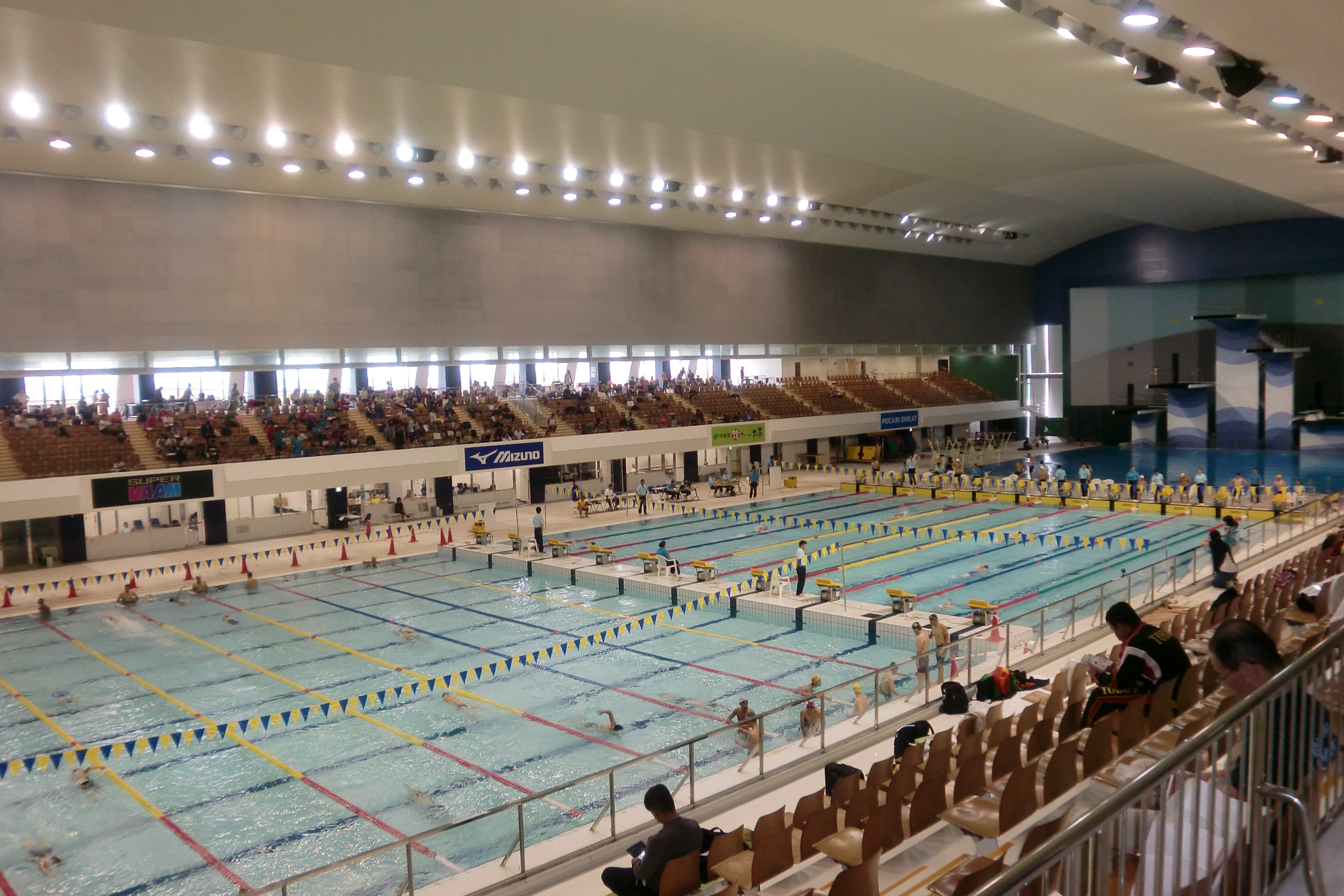 2019 静岡オープンマスターズ短水路水泳大会 : マスターズ水泳を ...