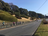 IMG_5353