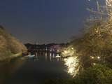 IMG_5635