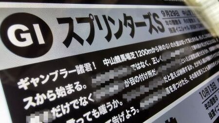 Point Blur_20240911_132545