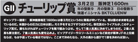 スクリーンショット 2025-03-11 125657