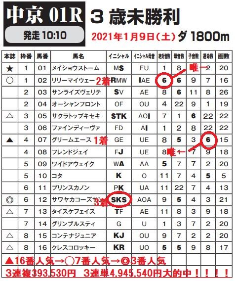 0109中京１R３連単4,945,540円新聞的中