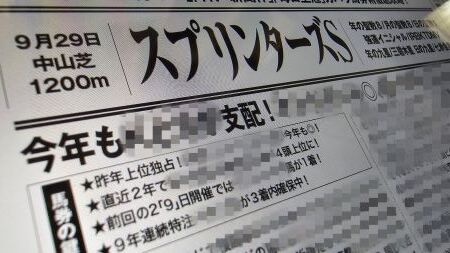 Point Blur_20240911_133107