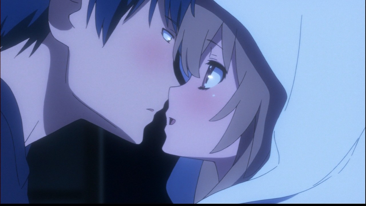 とらドラ 見た最終話 踊る 駄目人間日記