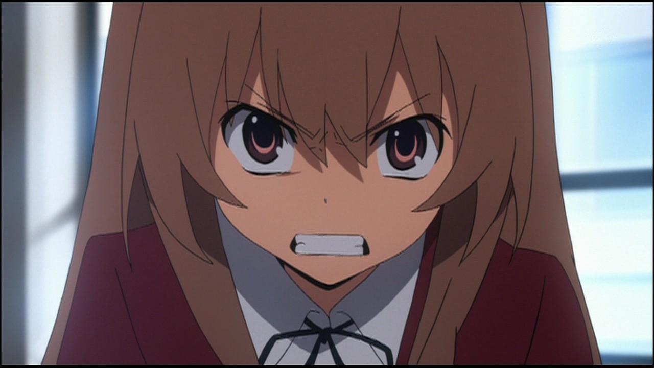 とらドラ 見た16話 踊る 駄目人間日記