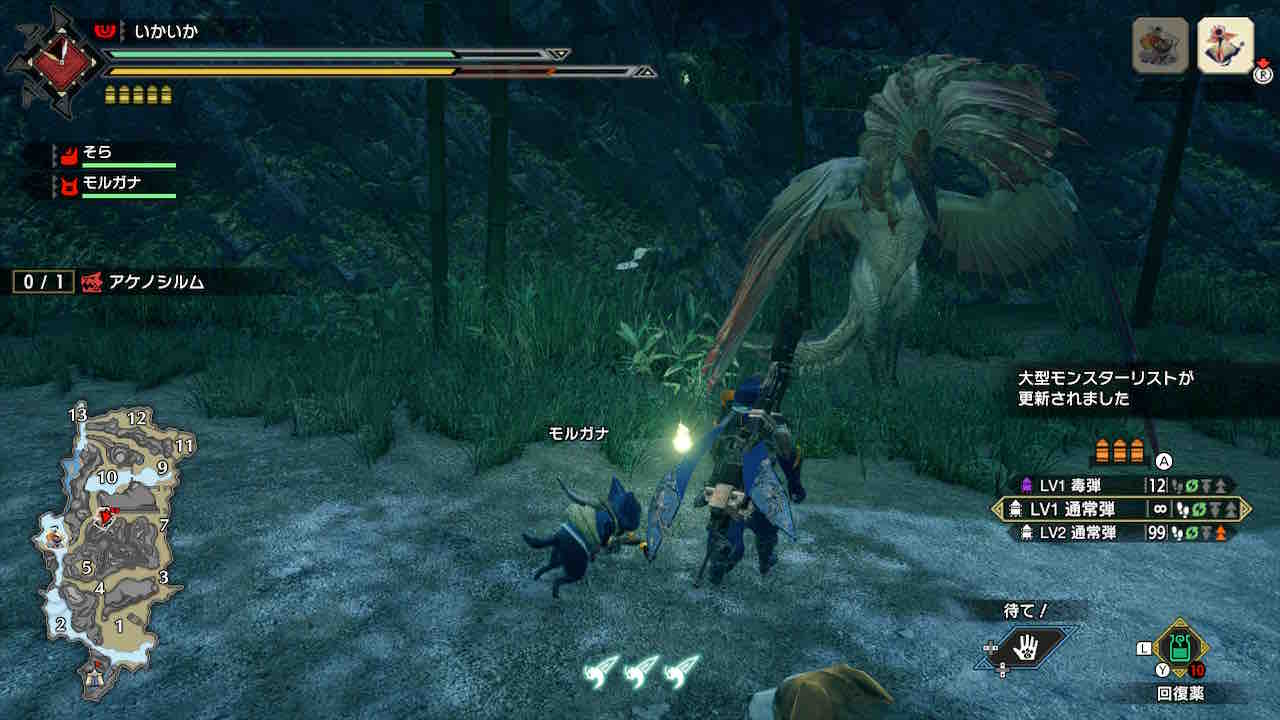 Mhrise 変幻の唐傘 アケノシルム行ってきた モンハンライズ報告書