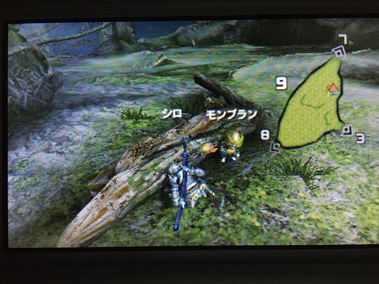Mhx ユクモの木 ユクモの堅木は渓流 モンハンアイスボーン報告書 Mhx ユクモの木 ユクモの堅木は渓流 モンハンアイスボーン報告書