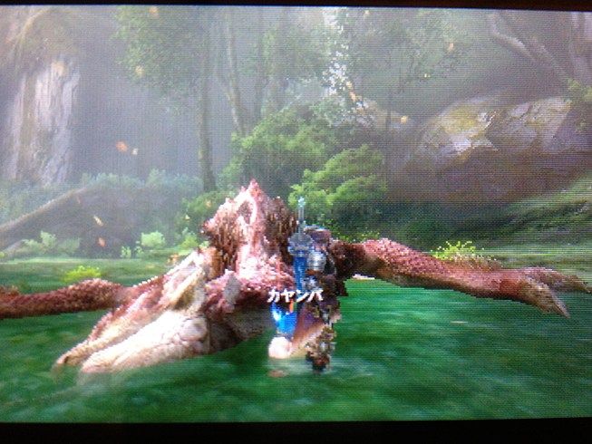 Mh3g 大苦戦 リオレイア亜種 モンハンライズ報告書 Mh3g 大苦戦 リオレイア亜種 モンハンライズ報告書