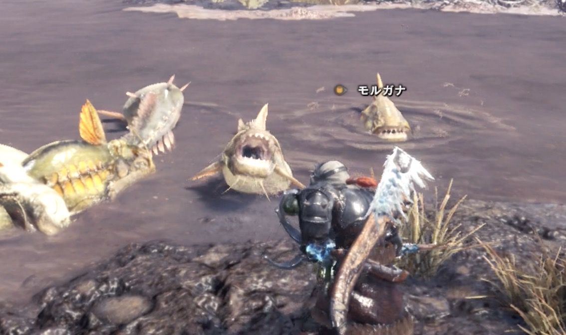 Mhw ガライーバ 咬魚の皮 咬魚のヒゲ取ってきた モンハンライズ報告書