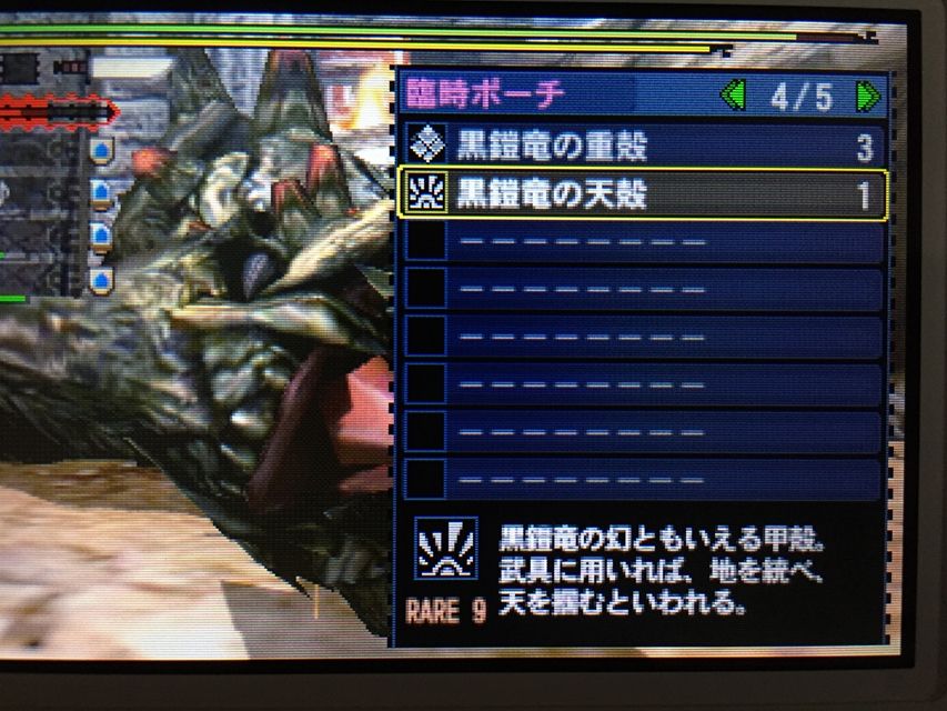 14年11月 モンハンライズ報告書