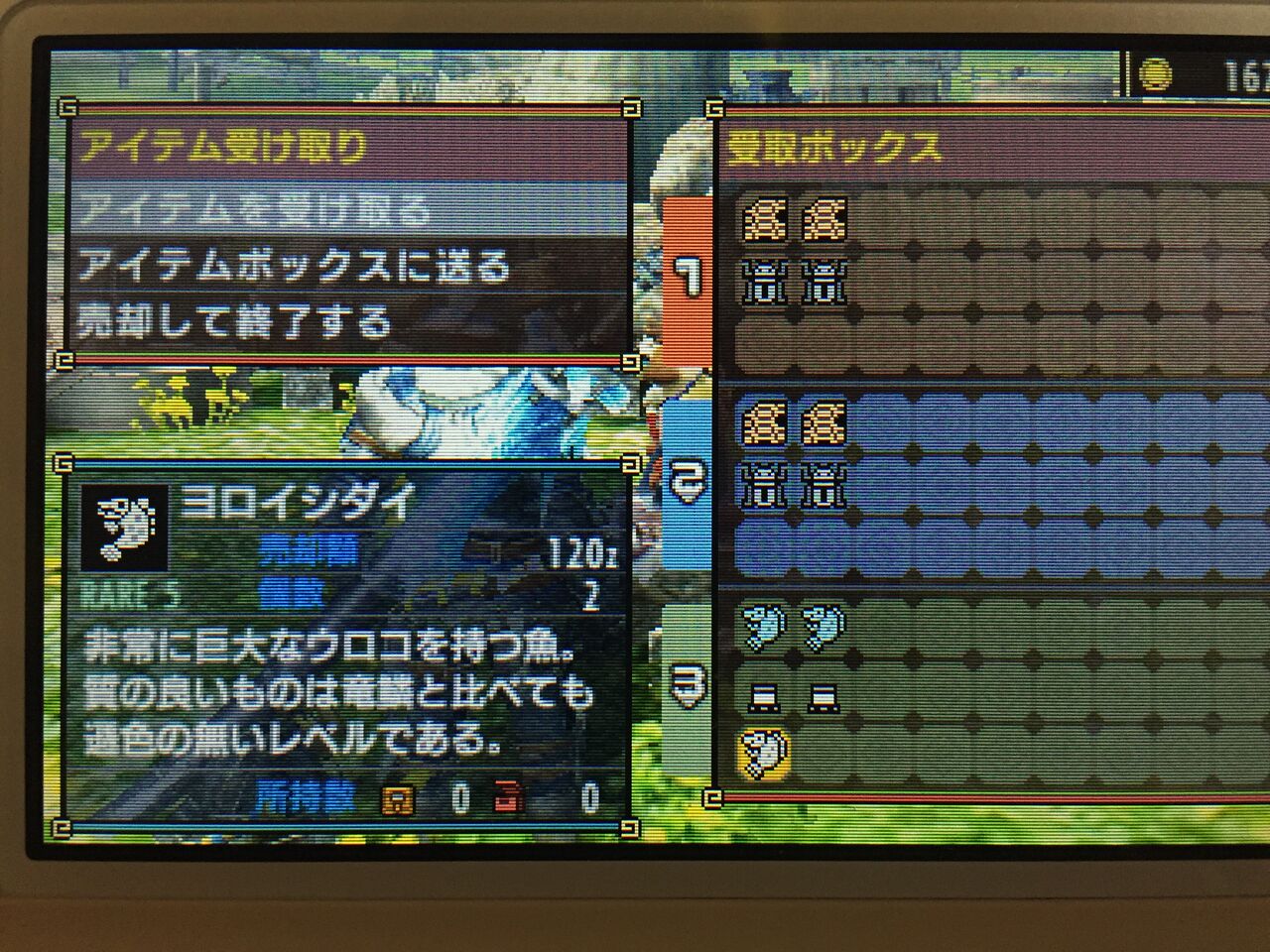 Mhx ヨロイシダイ 春夜鯉はタンジア鮮魚市場 交易窓口 モンハンアイスボーン報告書