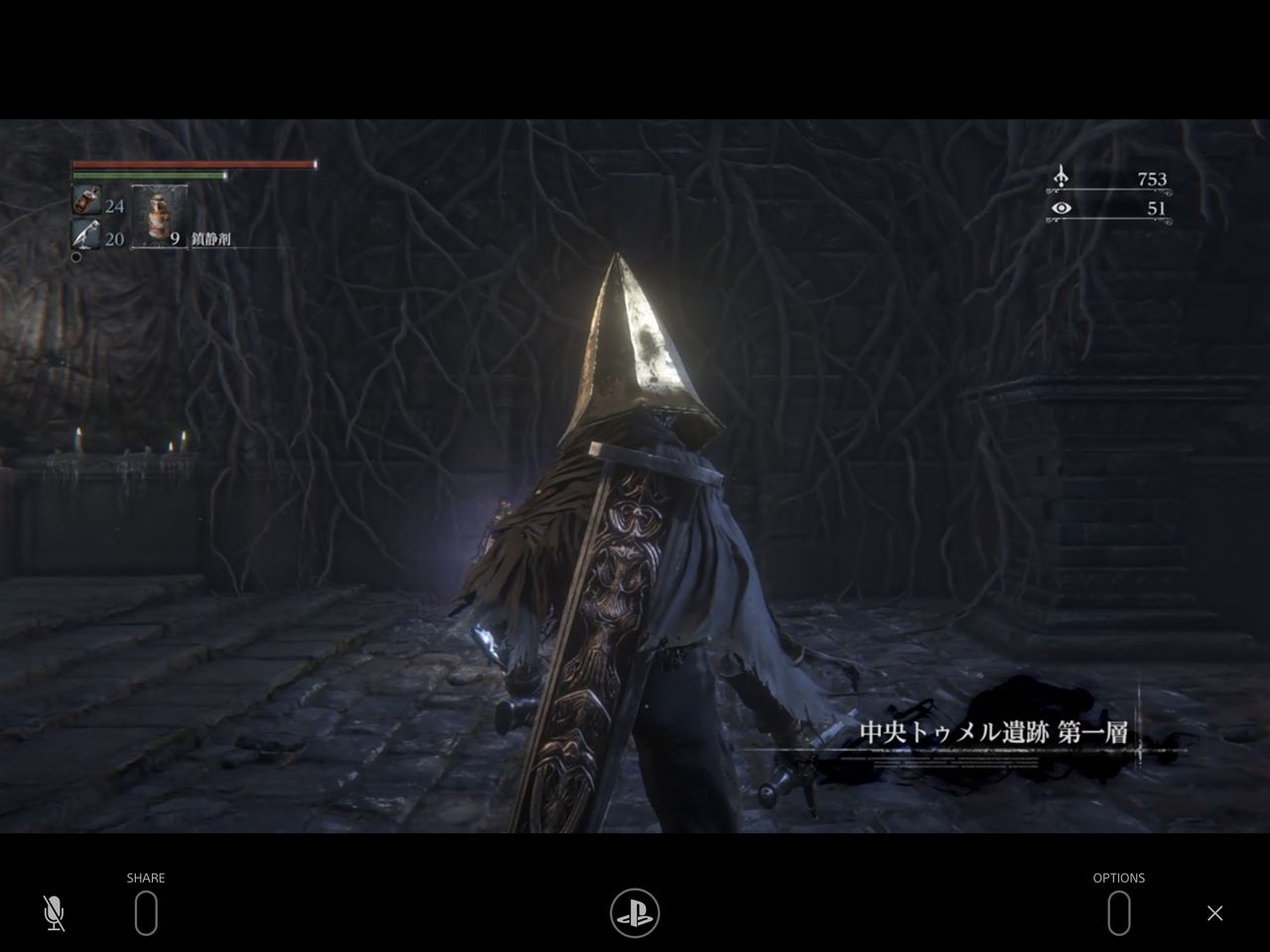 Ipad Proでps4リモートプレイ ブラッドボーンで動作確認してみた ゲームログブック