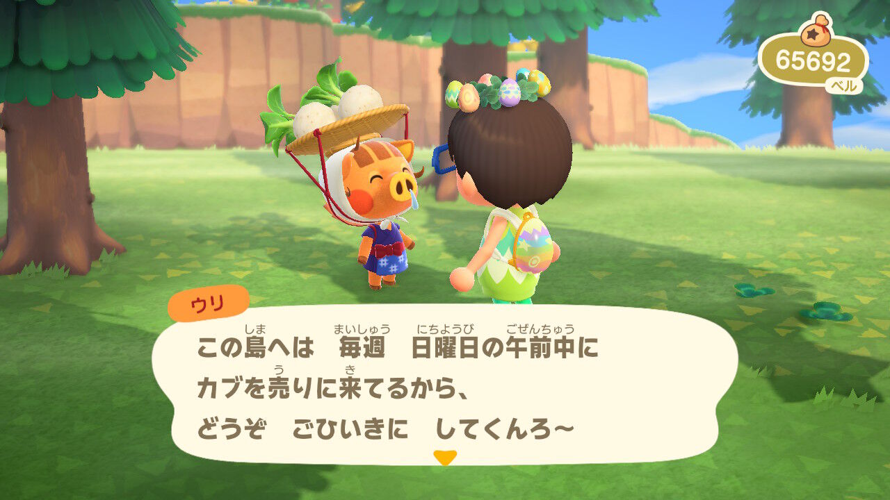 稼ぎ 森 あつまれ ベル の どうぶつ
