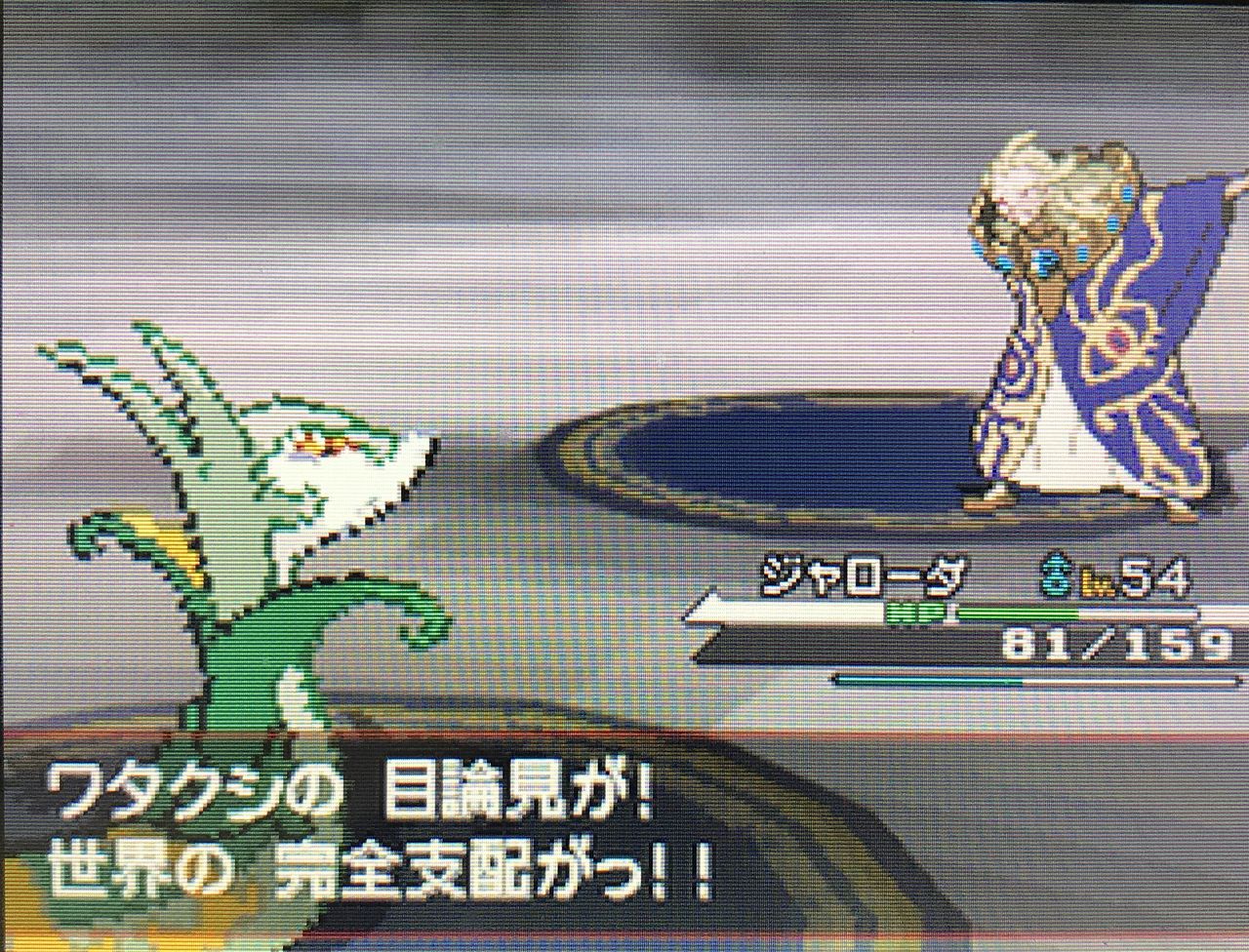 ポケットモンスターホワイト Vs プラズマ団 ゲームログブック