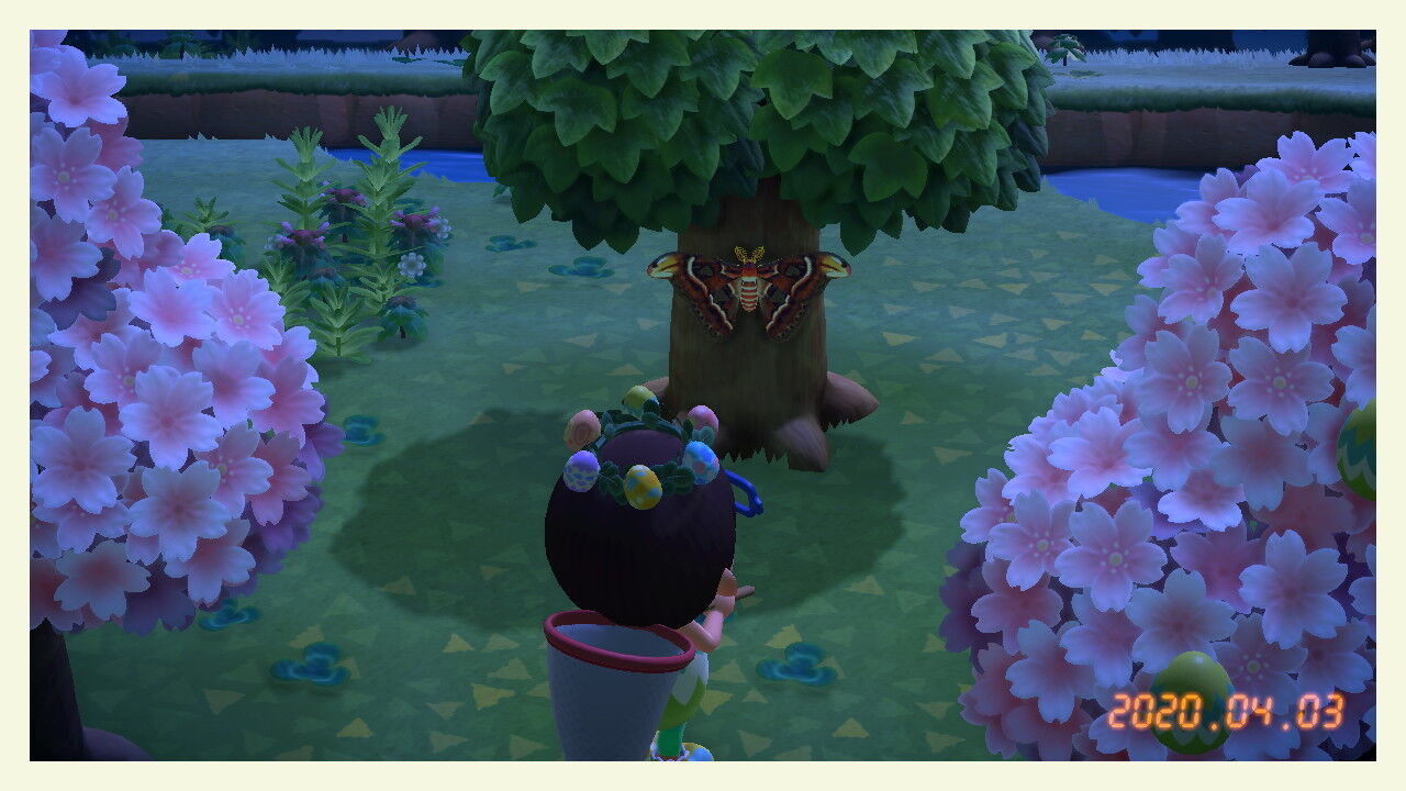 あつまれ どうぶつの森 島の評判は ゲームログブック