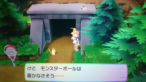 はい れんかと紡ぐゲームの物語 ポケモン Lピカブイ ニビシティ ハナダシティ