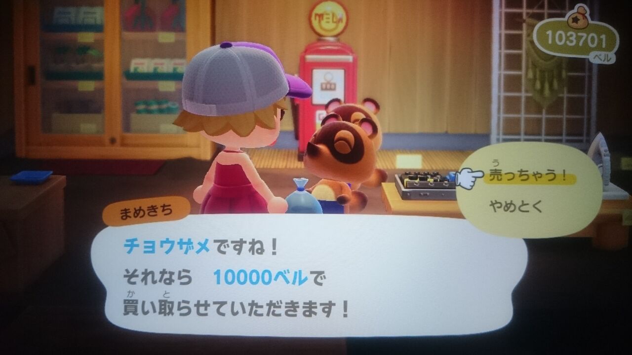はい れんかと紡ぐゲームの物語 あつ森 チョウザメ金策の勧め