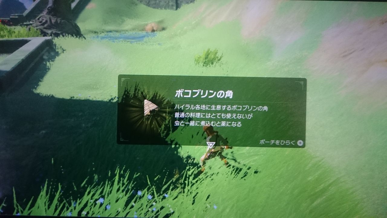 Nsw ゼルダの伝説 ブレス オブ ザ ワイルド ゲームは脳力 能力をアップさせる至高のエンターテインメント ゲームをすると馬鹿になるなんて言わせない