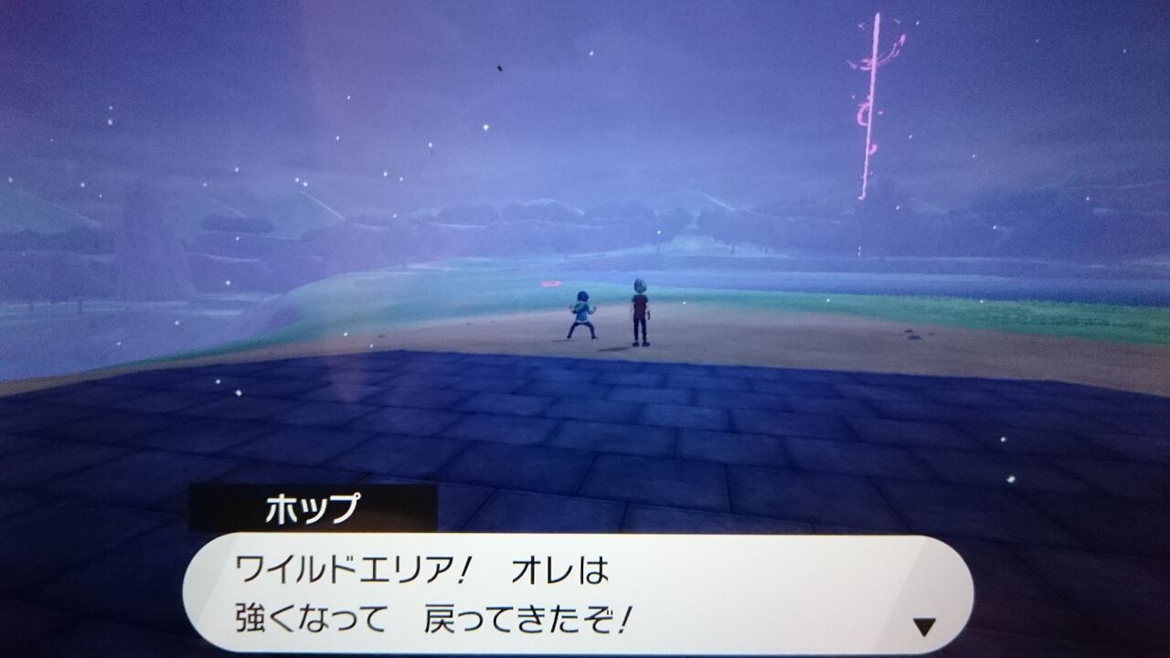 エリア 一覧 ポケモン ワイルド 出現