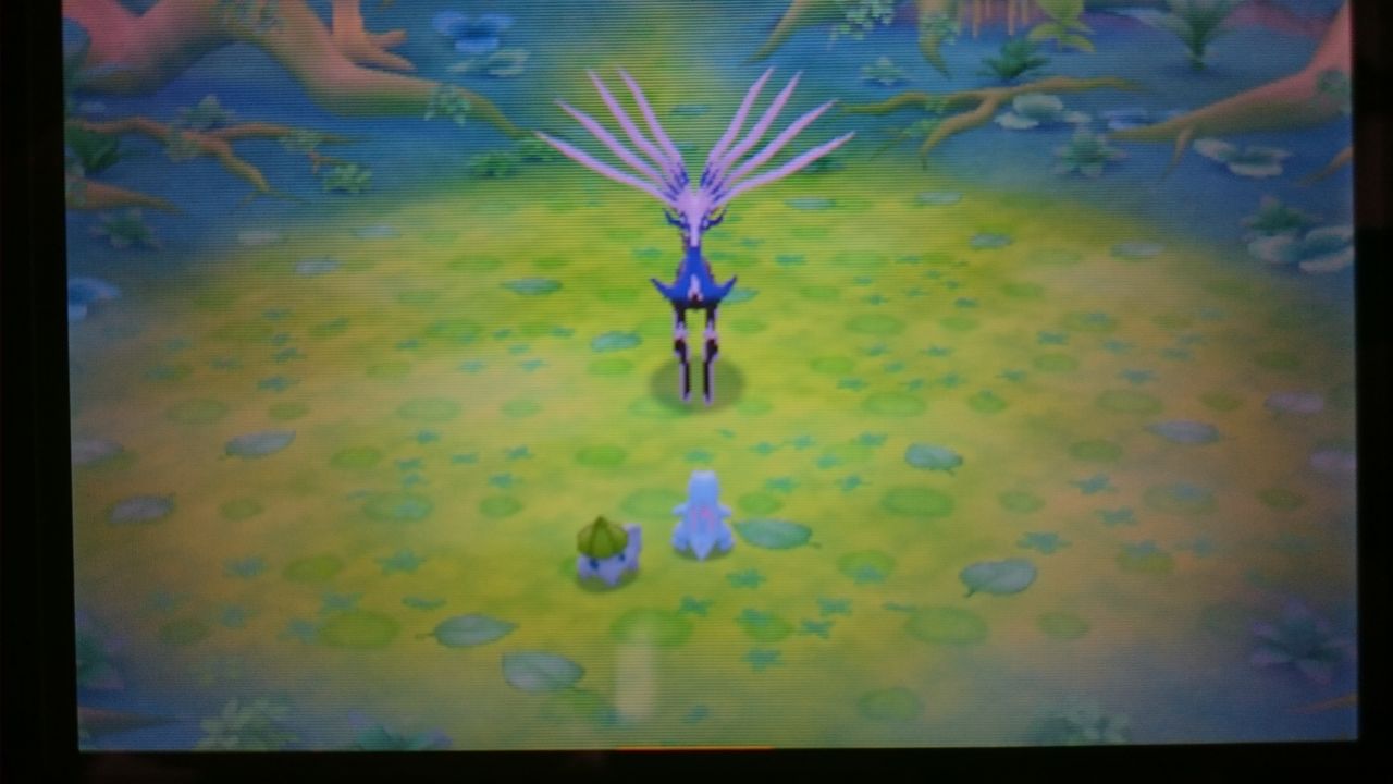 3ds ポケモン超不思議のダンジョン ゲームは脳力 能力をアップさせる至高のエンターテインメント ゲームをすると馬鹿になるなんて言わせない 3ds ポケモン超不思議のダンジョン ゲームは脳力 能力をアップさせる至高のエンターテインメント ゲームをすると馬鹿になるなんて言わせない