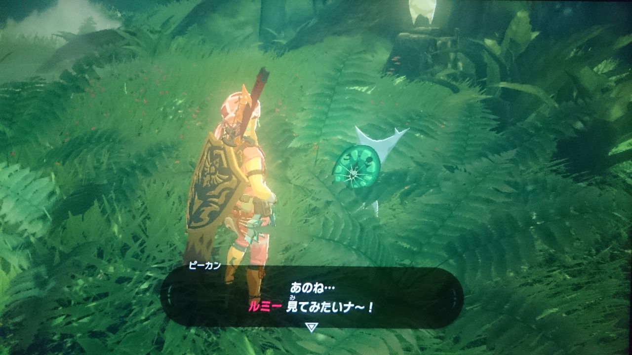 Nsw ゼルダの伝説 ブレス オブ ザ ワイルド ゲームは脳力 能力をアップさせる至高のエンターテインメント ゲームをすると馬鹿になるなんて言わせない