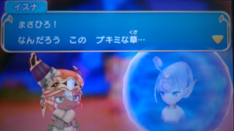 DSC_0023